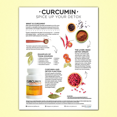 Curcumin Infographic Flyer