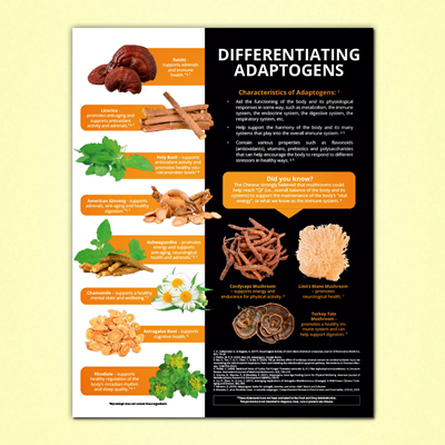 Differentiating Adaptogens Flyer